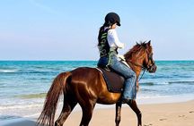 Hua Hin Beach and Trail Horseback Riding Experience