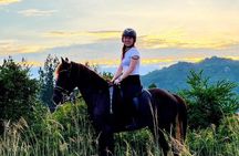 Hua Hin Beach and Trail Horseback Riding Experience