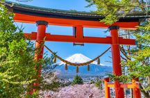 Mt. Fuji Highlight Photo Spots One Day Tour from Tokyo