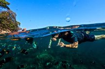 Puerto Vallarta: Tropical Fish Snorkeling and Zipline Tour