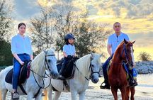 Horse Riding for All Skill Levels at Hua Hin Beach & Forest Trail