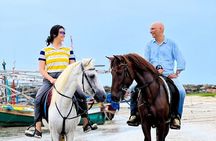 Horse Riding for All Skill Levels at Hua Hin Beach & Forest Trail