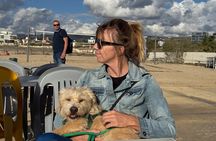 Scenic Beach Walk with Rescue Dogs