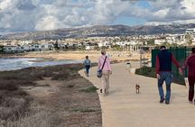 Scenic Beach Walk with Rescue Dogs