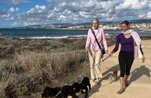Scenic Beach Walk with Rescue Dogs