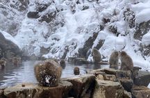 Private Snow Monkey & Frozen Waterfall — Nagano Winter Tour