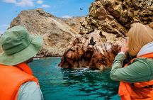 Paracas - Ica - Huacachina (shared service)