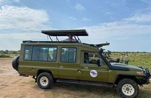 5 Days Chimpanzee and Gorilla Safari Uganda