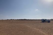 Agadir Mini Sahara 4x4 Day Tour with Lunch