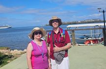 Luminos Lagoon Experience in Falmouth 