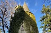 From Luxembourg: Trier, Moselle River and Castle Private Day Tour