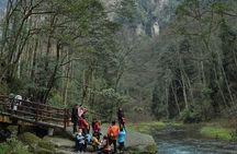 Private 1 Day Tour Zhangjiajie Avator Moutain & Glass Bridge