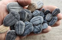 2 hour Quarry Access