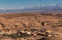 Desert Escape: Buggy Ride, Camel Trek & Dinner Show