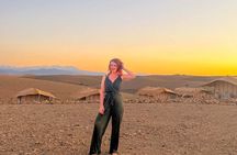 Desert Escape: Buggy Ride, Camel Trek & Dinner Show