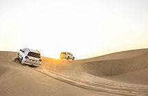 Desert Safari with Quad Bike Camel Ride And Live Shows