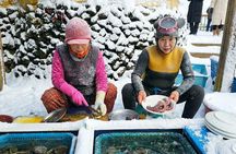 Jeju Island East UNESCO Day Tour