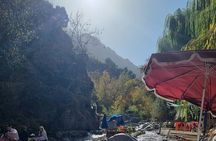 A day trip to the Atlas Mountains