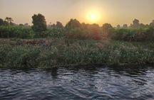 Hurghada to Luxor Day Trip Valley of the Kings and Temples