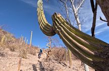 Exclusive Ebike Adventure in Nopolo National Park