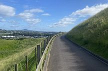 Half-Day Volcano Tour from Auckland