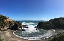 Full Day Sightseeing Tour in Auckland