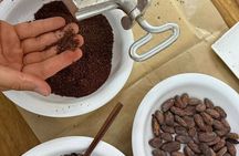 Bean to Bar Chocolate Making Class in Brasilito
