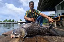 Mekong Catfish and Siamese Carp Fishing Guarantee Good Fishing