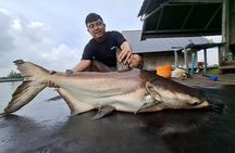 Mekong Catfish and Siamese Carp Fishing Guarantee Good Fishing