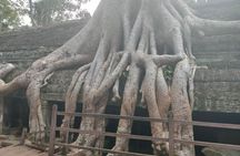  Angkor Wat & Small Tour with Bonteay Srei Temples 