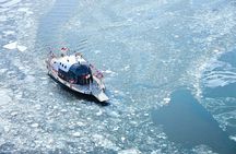 Half Day Tour to Eobi Ice Valley and Nami Island