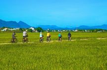 Private Hoi An to My Son Sanctuary Full-Day Bike Tour