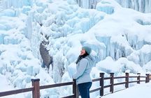 Half Day Tour to Eobi Ice Valley and Nami Island