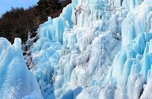 Eobi Ice Valley, Nami Island, Petite France and Morning Calm Tour