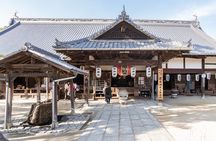 Hiroshima Private Tour: Best Highlights in a Day