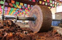 Sustainable Mezcal Tour at an Award Winning Family Distillery