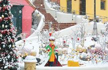 Eobi Ice Valley, Nami Island, Petite France and Morning Calm Tour