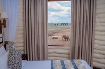 Tsavo east,Amboseli, saltlick exploring from Mombasa/Diani/watamu