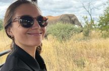 Full Day Pilanesberg Safari from Johannesburg