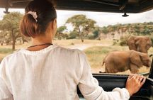 Full Day Pilanesberg Safari from Johannesburg