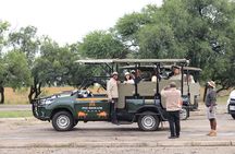 Full Day Pilanesberg Safari from Johannesburg