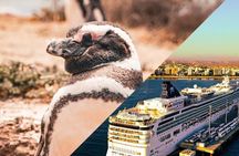 Shore Tours Punta Tombo Cruise Ship Passengers Puerto Madryn
