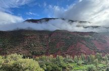 Paradise Valley Private Tour from Agadir and Taghazout