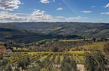 Organic Chianti Classico Wine Tour Tastings with Lunch Included