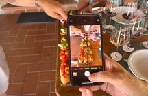 Organic Chianti Classico Wine Tour Tastings with Lunch Included