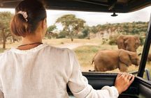 Pilanesberg National Park 6 Hour Safari from Sun City