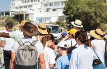 Athens Private Cruise with Meal, Open Bar & Transfer