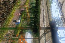 Kochi to Munnar Private Full Day Guided Tour With Hotel Pickup