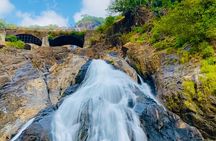 Full Day Join Goa Tour: Dudhsagar Waterfalls & Spice Planatation