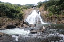Full Day Join Goa Tour: Dudhsagar Waterfalls & Spice Planatation